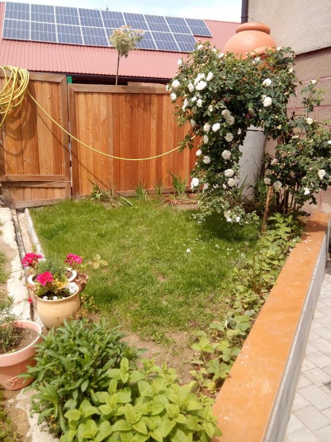 Agroturystyka U Babci Czchow Exterior foto